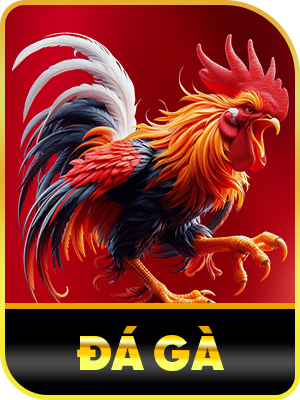 Đá gà Hubet