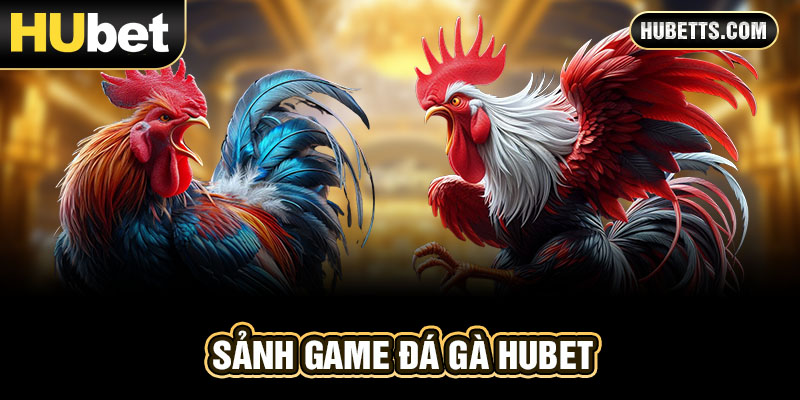 Sảnh chơi đá gà Hubet