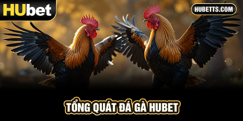 Tổng quát game đá gà Hubet